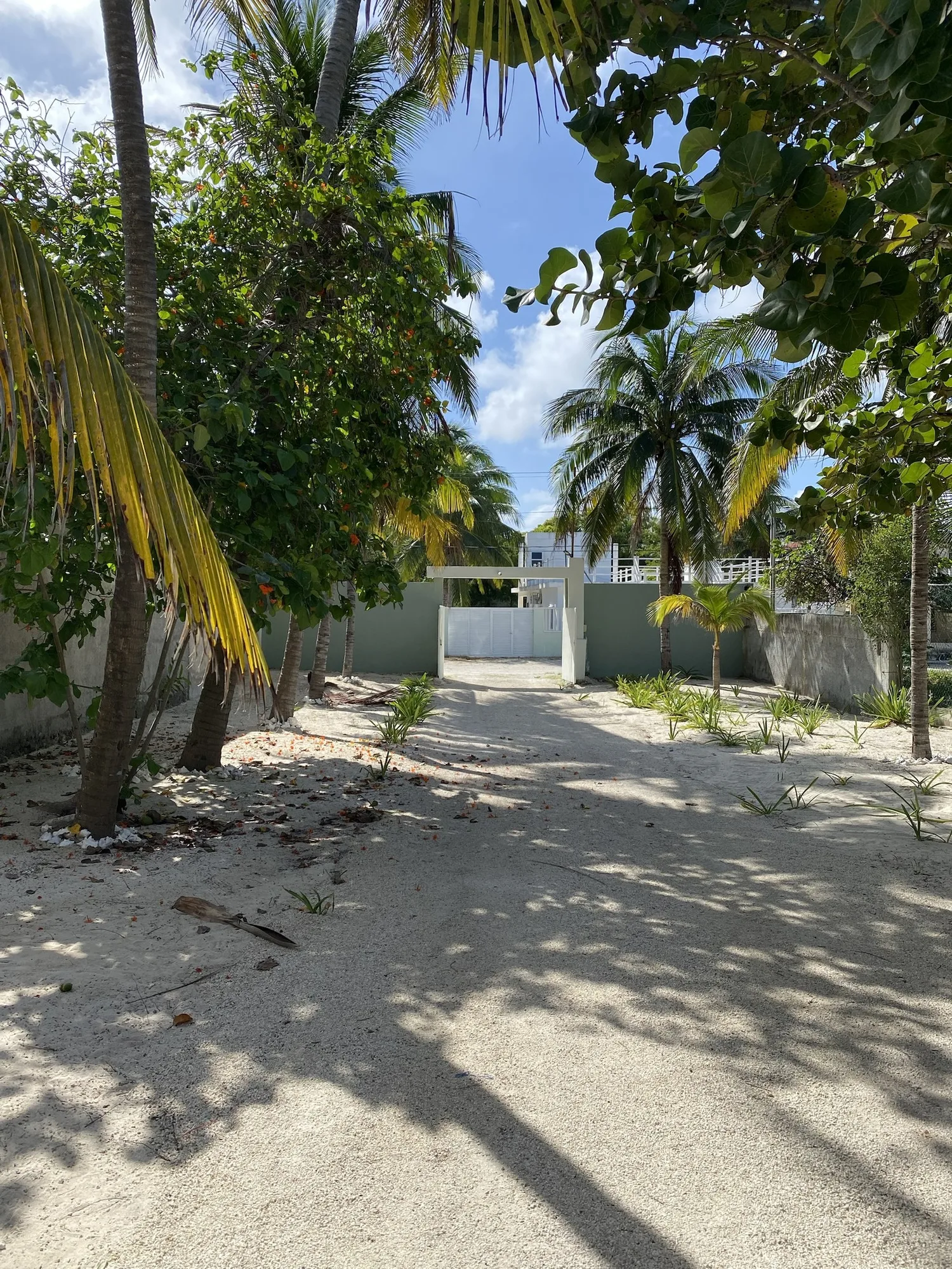 Casa Verde — garden
